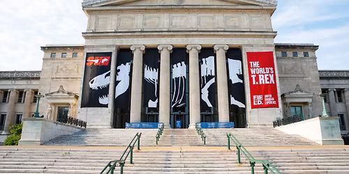 After 5 at the Field