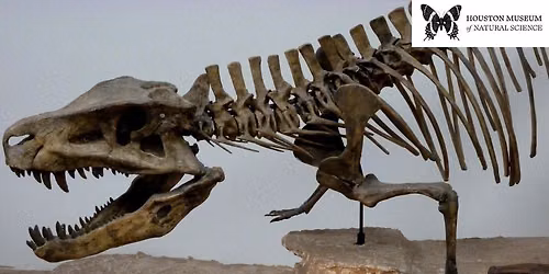 Dinosaur Discovery with HMNS (Children)