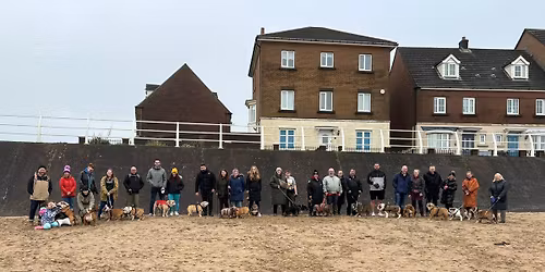 January EF\u2019n Welsh Walk