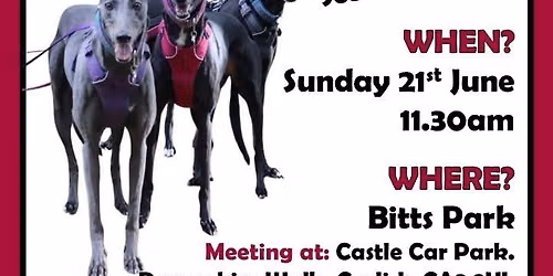 June's Social Sighthound Walk \ud83d\udc3e\ud83d\udc36