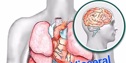 Osteopathic Visceral Manipulation