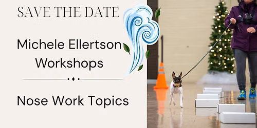 Michele Ellertson Nose Work Workshops