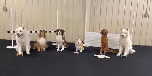 4RK9s Fall UKC Obedience and Rally Trials