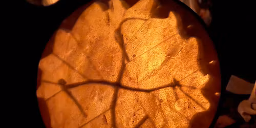 Sacred Alchemy Spring Women\u2019s Retreat- Alchemy in Bloom