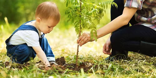 Un enfant, un arbre