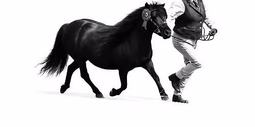 Open Horse & Pony Show