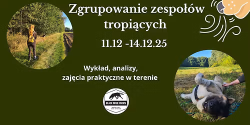 Zgrupowanie zespo\u0142\u00f3w tropi\u0105cych