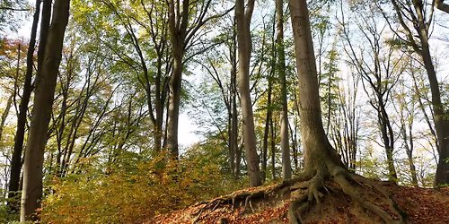 Group Drum Journey for Personal Insight