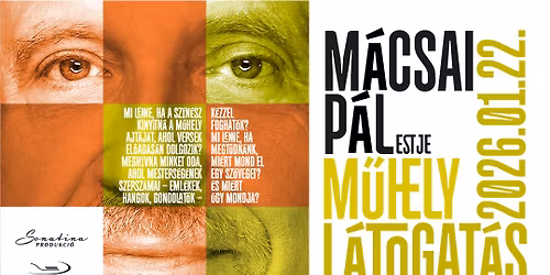 M\u0171helyl\u00e1togat\u00e1s \/ M\u00c1CSAI P\u00c1L estje