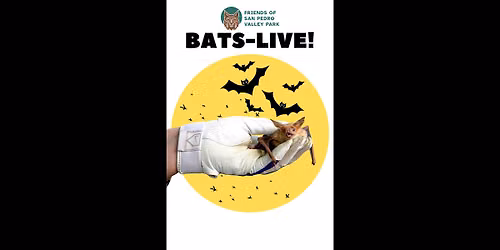 Bats-Live!