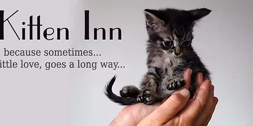 Movie Fundraiser. The Devil Wears Prada 2