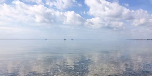 Largo Blue Space Festival: Spotlight on Forth Conservation