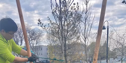 Tree Planting at the East Branch Library, Somerville