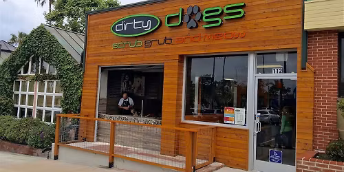 Solana Beach - Dog dental cleaning