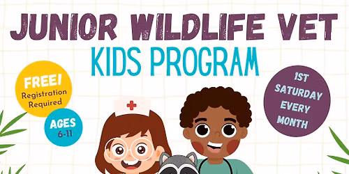 Jr. Vet Workshop