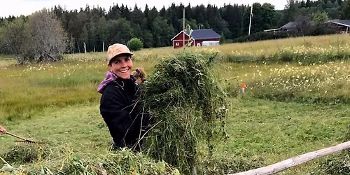 Kurs i liesl\u00e5tter