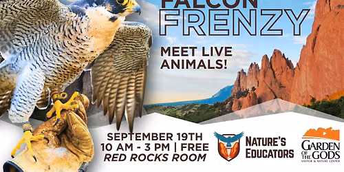 Nature's Educators: Falcon Frenzy