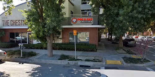 Sacramento (Midtown) - Dog dental cleaning