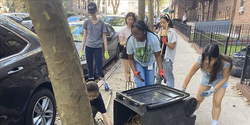 Street Tree Care with D39 Tree Care Team, Prospect Farm, & Field Form