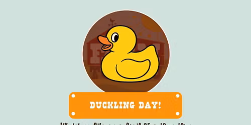 Duckling Day at Whetstone Library!