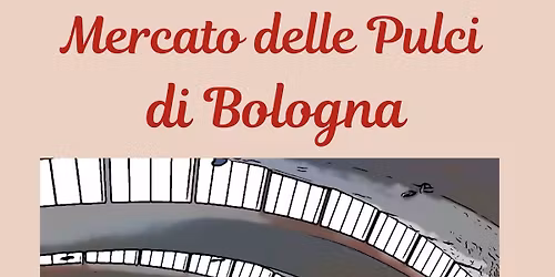 Mercato delle Pulci - usato in esposizione da privati cittadini di Bologna