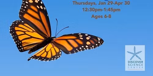 HOMESCHOOL: BUTTERFLY MIGRATION \ufffd