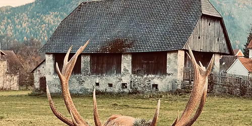 Hubertussegen - Zweigverein Liesingtal