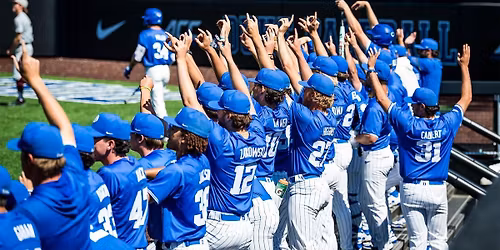 Duke Blue Devils at Virginia Tech Hokies Baseball