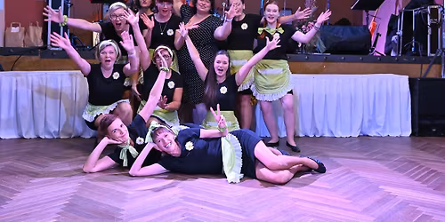 1. Farm\u00e1\u0159sk\u00fd b\u00e1l v Plzni OSMEJ MEJDAN