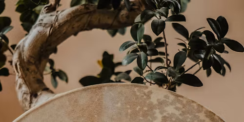 Wellbeing Wednesday: Sacred Drum Circle with Zara Tricconet