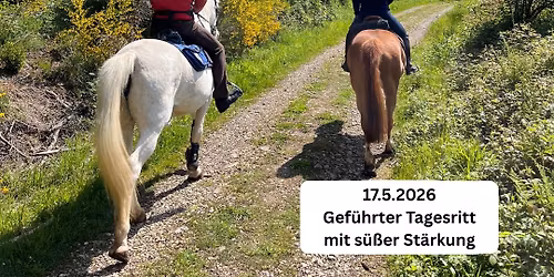 Wanderritt f\u00fcr Einsteiger