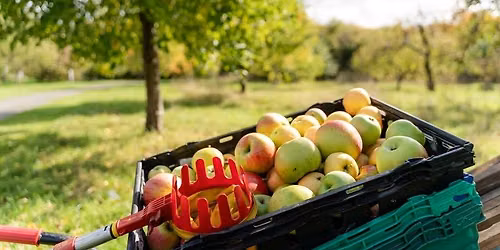 Apple Day 