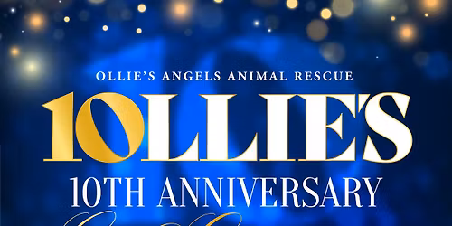 OAAR's 10th Annniversary Gala Celebration