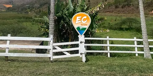 Passeio na Fazenda Vale das Palmeiras RJ