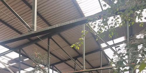 Flohmarkt Gleishalle