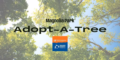 Adopt-A-Tree: Magnolia Park