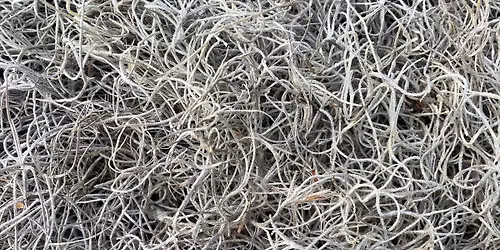 "Cloak" | Blanche Nettles Powers in the Drive Thru Art Box at Green Truck Pub: Jan 10 - Apr 8, 2026