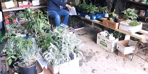 Plant Sale Fundraiser