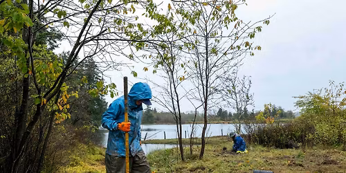 Planting Work Party @ California Creek Estuary with WCD and NSEA