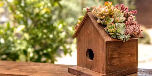 Succulent Bird House 