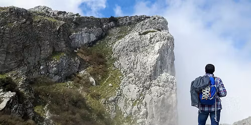 PRIMAVERA NEI BOSCHI DEL RE