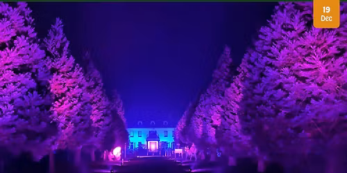 Night of the DinoLights