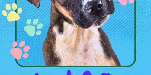 Adopt A Pup - Spanish Fort PetSmart