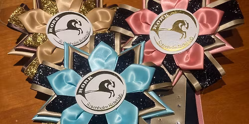 \u2728\ud83d\udc8eRosenholm rideklub invitere til \ud83d\udc8e\u2728Swarowskidressur\ud83d\udc8e\u2728den 13. juni D\/E klasser \ud83d\udc8e\u2728