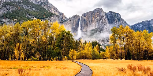 Yoga, Meditation, and Nature: Retreat to Yosemite