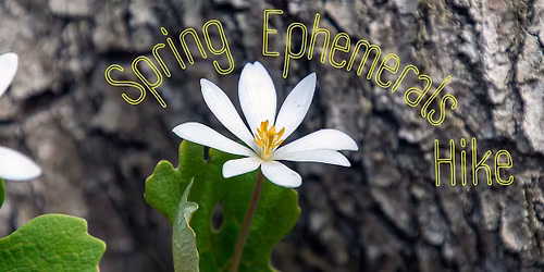 Spring Ephemerals Hike
