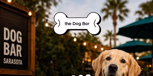 Service Dogs Meet Up at Dog Bar Sarasota