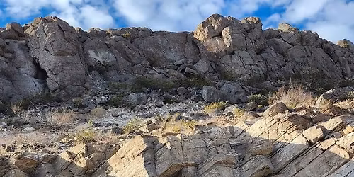 Highclass Hop & Picnic!