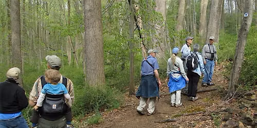 NJ Audubon: Morning Walk at Scherman Hoffman Wildlife Sanctuary