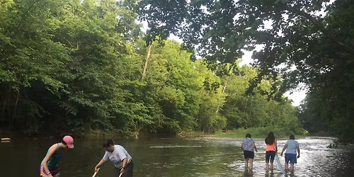 Hidden Creatures in Wild Waters: Protecting What Lives Below